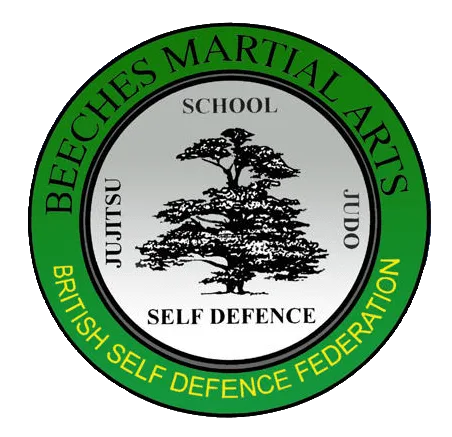 Wythall Martial Arts Club – Junior Jujitsu at Britannia Room