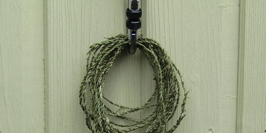 Wild String Workshop - Sutton Courtenay, Thursday 27 August at Sutton Courtenay Environmental Education Centre